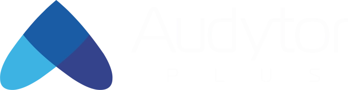 Audytor Plus Toruń Poznań